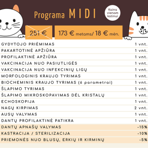 Sveikatos paslaugų programa MIDI jūsų katei